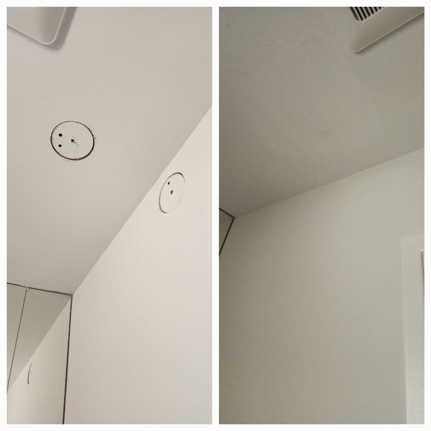 Shed roof repair and replacement