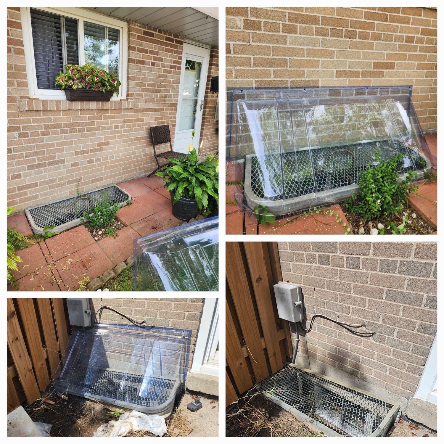 Bedroom painting with new carpet and closet doors